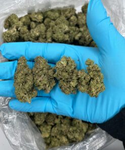 MODIFIED GRAPES (MG) – 450$