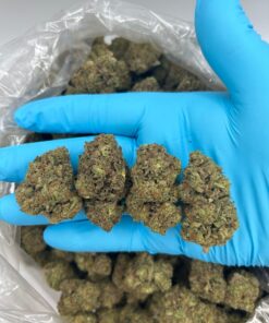 RAINBOW SHERBET 11 (RS11) – 500$