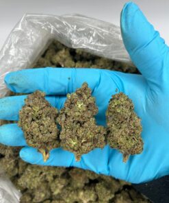 WEDDING CAKE (WC) – 550$